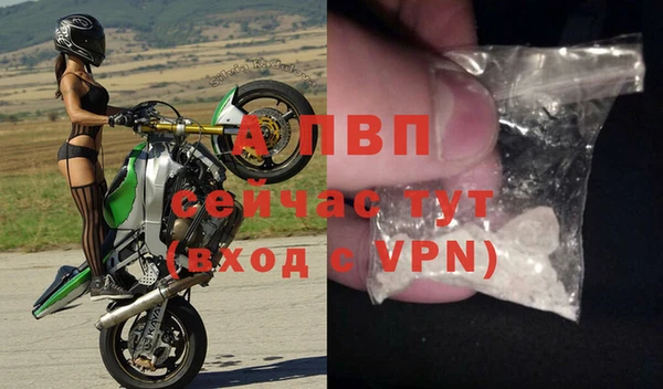стафф Козловка