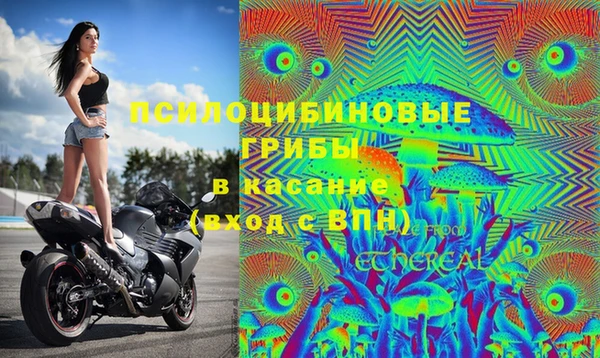 СК Кодинск
