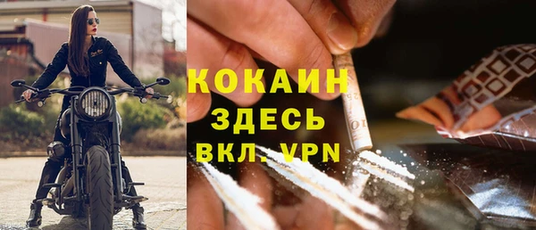 СК Кодинск